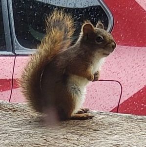 Meet your Posher, Cheryl